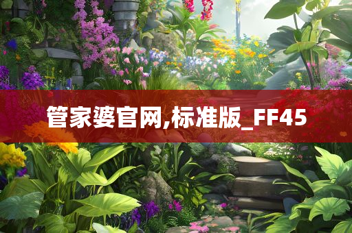 管家婆官网,标准版_FF45