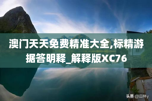 澳门天天免费精准大全,标精游据答明释_解释版XC76