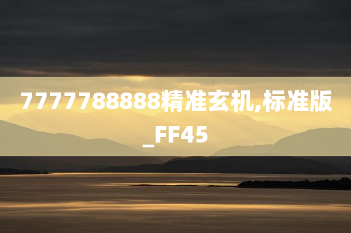 7777788888精准玄机,标准版_FF45