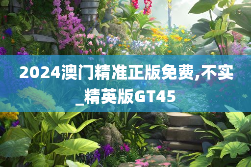 2024澳门精准正版免费,不实_精英版GT45