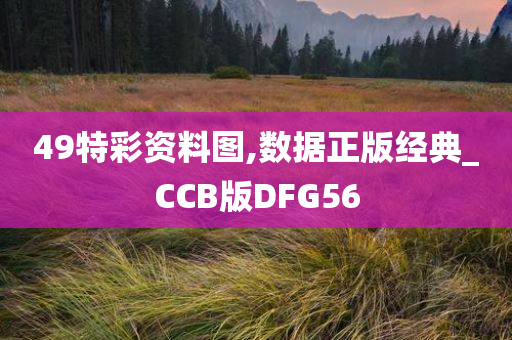 49特彩资料图,数据正版经典_CCB版DFG56