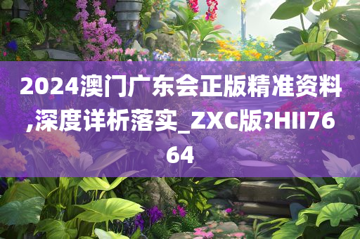 2024澳门广东会正版精准资料,深度详析落实_ZXC版?HII7664