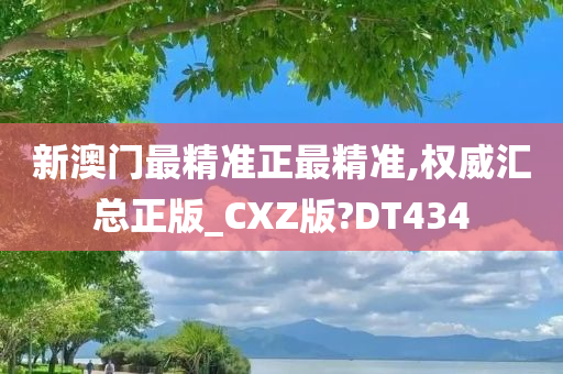 新澳门最精准正最精准,权威汇总正版_CXZ版?DT434