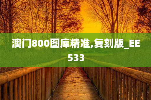 澳门800图库精准,复刻版_EE533