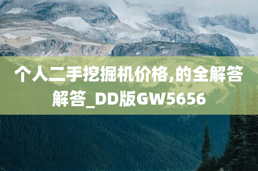 个人二手挖掘机价格,的全解答解答_DD版GW5656