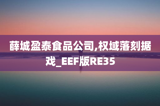 薛城盈泰食品公司,权域落刻据戏_EEF版RE35