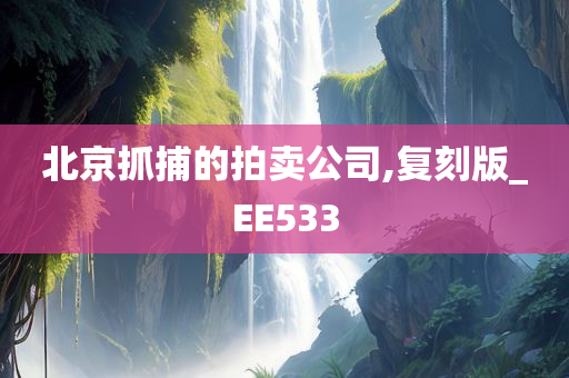 北京抓捕的拍卖公司,复刻版_EE533