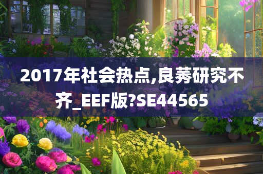 2017年社会热点,良莠研究不齐_EEF版?SE44565