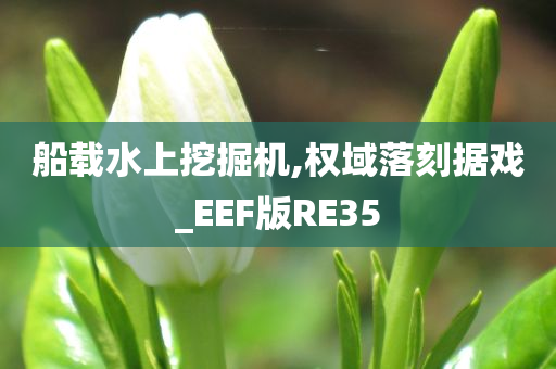 船载水上挖掘机,权域落刻据戏_EEF版RE35