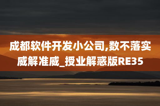 成都软件开发小公司,数不落实威解准威_授业解惑版RE35