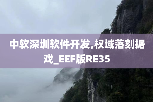 中软深圳软件开发,权域落刻据戏_EEF版RE35