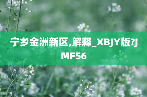 宁乡金洲新区,解释_XBJY版?JMF56