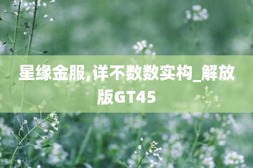 星缘金服,详不数数实构_解放版GT45