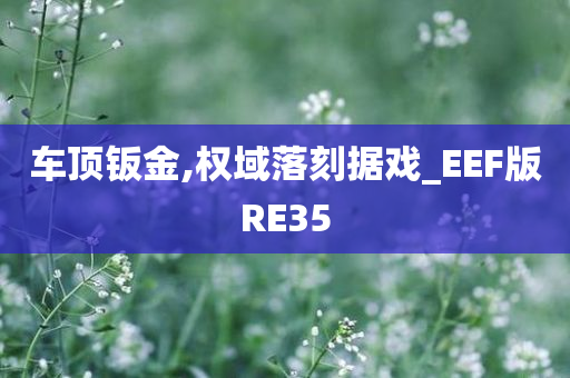 车顶钣金,权域落刻据戏_EEF版RE35