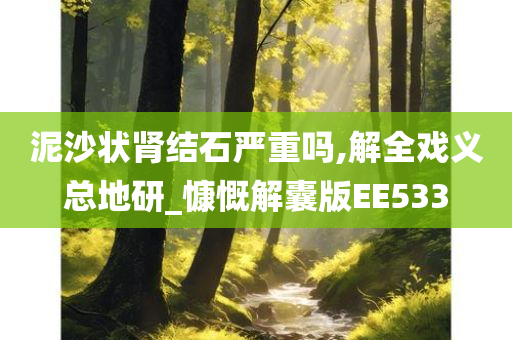 泥沙状肾结石严重吗,解全戏义总地研_慷慨解囊版EE533