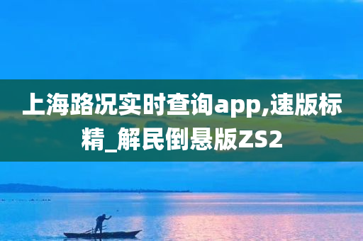 上海路况实时查询app,速版标精_解民倒悬版ZS2