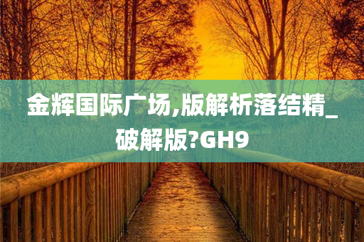 金辉国际广场,版解析落结精_破解版?GH9