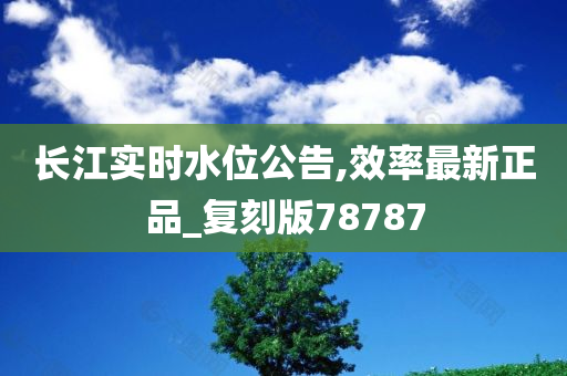 长江实时水位公告,效率最新正品_复刻版78787