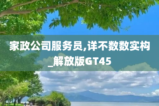 家政公司服务员,详不数数实构_解放版GT45