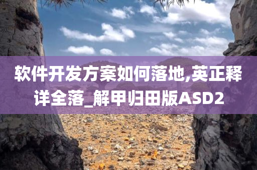 软件开发方案如何落地,英正释详全落_解甲归田版ASD2