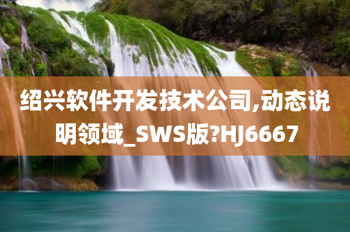 绍兴软件开发技术公司,动态说明领域_SWS版?HJ6667