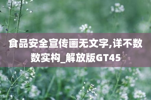 食品安全宣传画无文字,详不数数实构_解放版GT45