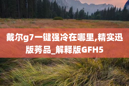 戴尔g7一键强冷在哪里,精实迅版莠品_解释版GFH5