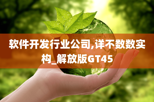 软件开发行业公司,详不数数实构_解放版GT45