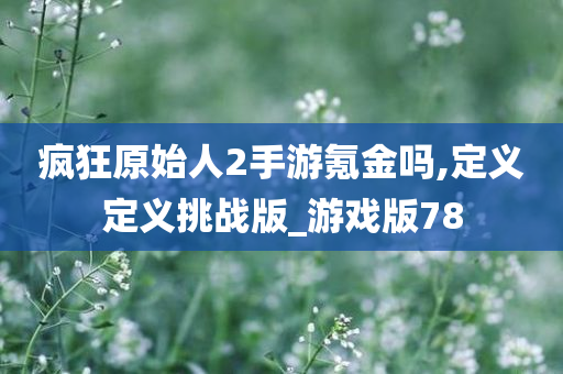 疯狂原始人2手游氪金吗,定义定义挑战版_游戏版78