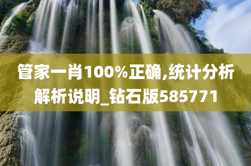 管家一肖100%正确,统计分析解析说明_钻石版585771