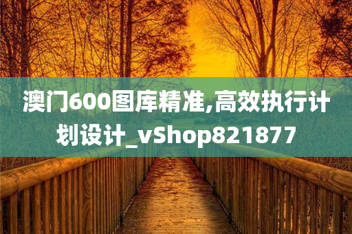 澳门600图库精准,高效执行计划设计_vShop821877