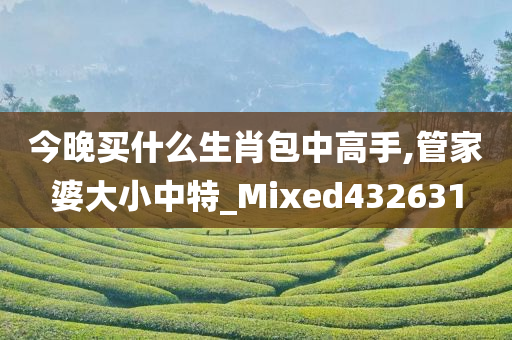 今晚买什么生肖包中高手,管家婆大小中特_Mixed432631