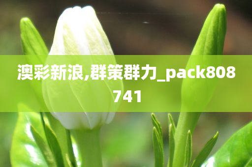 澳彩新浪,群策群力_pack808741