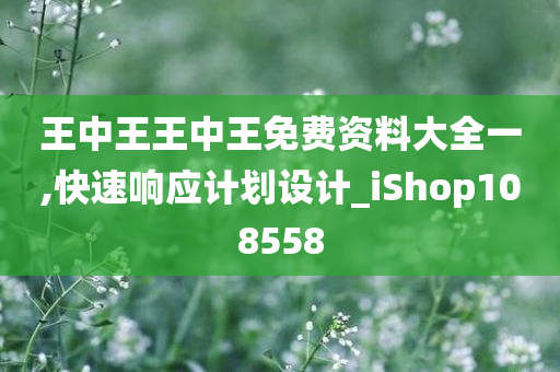 王中王王中王免费资料大全一,快速响应计划设计_iShop108558