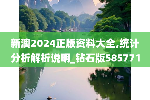 新澳2024正版资料大全,统计分析解析说明_钻石版585771