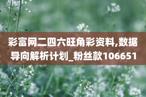 彩富网二四六旺角彩资料,数据导向解析计划_粉丝款106651