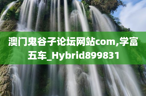 澳门鬼谷子论坛网站com,学富五车_Hybrid899831