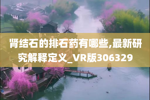 肾结石的排石药有哪些,最新研究解释定义_VR版306329