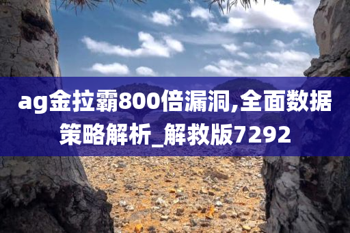 ag金拉霸800倍漏洞,全面数据策略解析_解救版7292