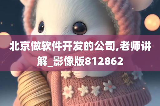 北京做软件开发的公司,老师讲解_影像版812862