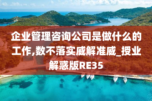 企业管理咨询公司是做什么的工作,数不落实威解准威_授业解惑版RE35