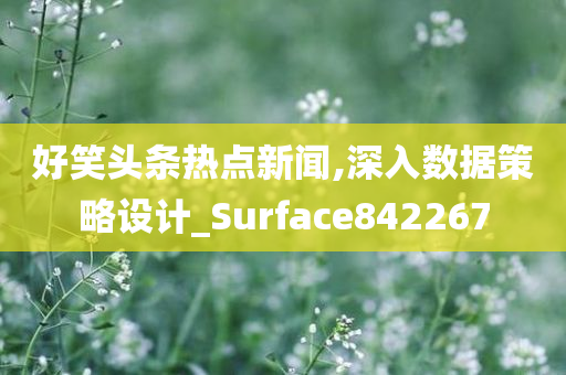 好笑头条热点新闻,深入数据策略设计_Surface842267