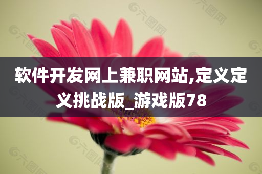 软件开发网上兼职网站,定义定义挑战版_游戏版78