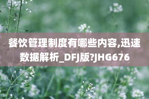 餐饮管理制度有哪些内容,迅速数据解析_DFJ版?JHG676