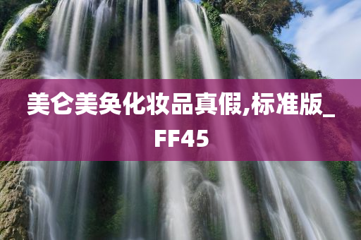 美仑美奂化妆品真假,标准版_FF45