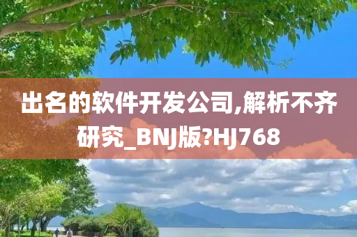 出名的软件开发公司,解析不齐研究_BNJ版?HJ768