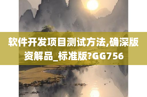 软件开发项目测试方法,确深版资解品_标准版?GG756