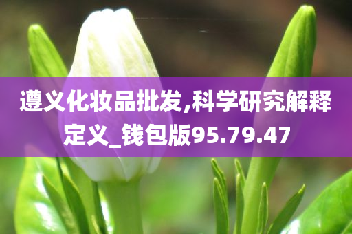 遵义化妆品批发,科学研究解释定义_钱包版95.79.47