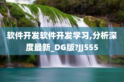 软件开发软件开发学习,分析深度最新_DG版?JJ555