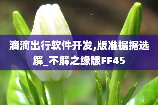 滴滴出行软件开发,版准据据选解_不解之缘版FF45